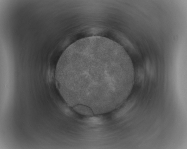 X0000110760236200906291034