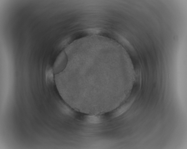 X0000110760238200906291034