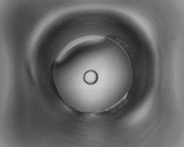 X0000110760239200906291034