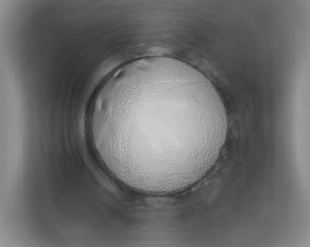 X0000110760242200906291034
