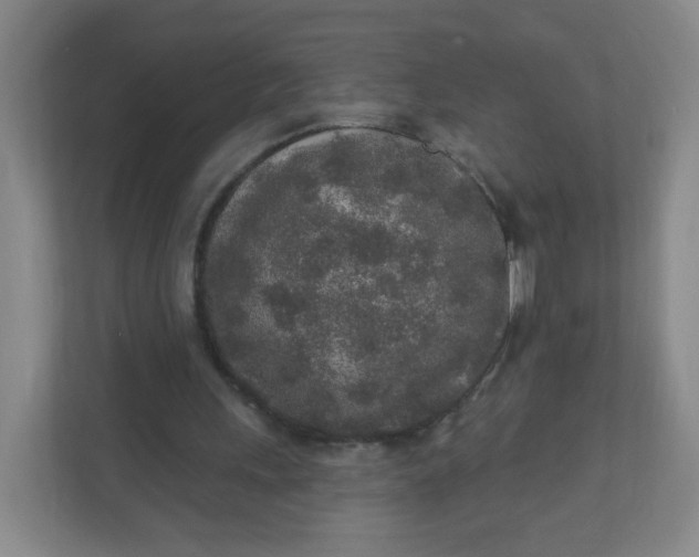 X0000110760243200906291034