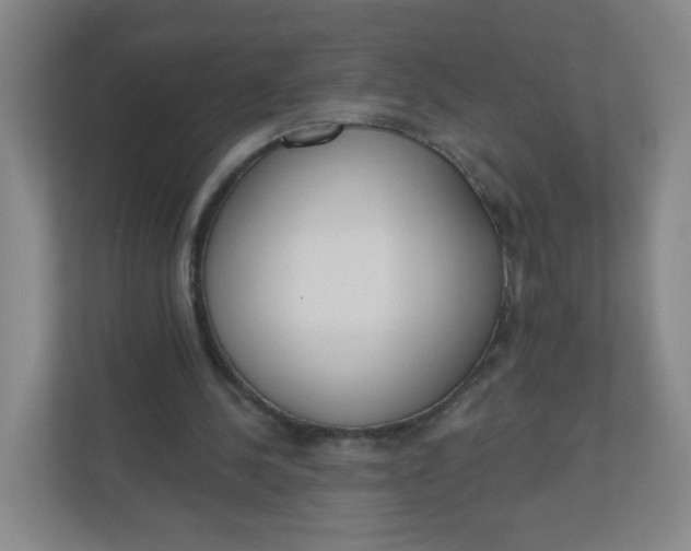 X0000110760244200906291034