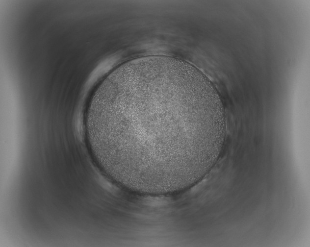 X0000110760245200906291034