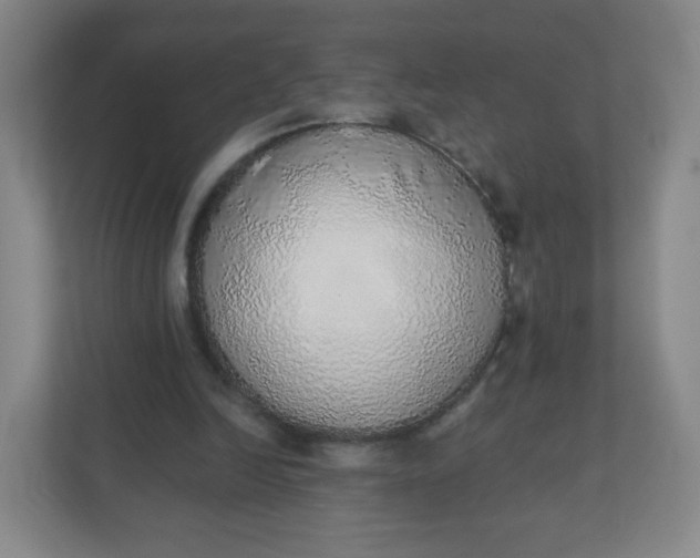 X0000110760246200906291034