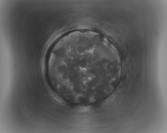X0000110760247200906291034