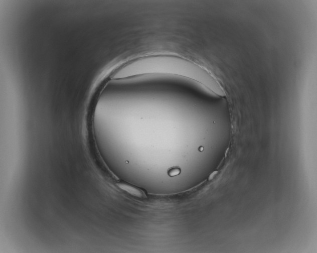 X0000110760248200906291034