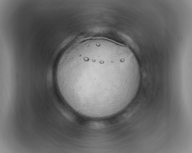 X0000110760250200906291034