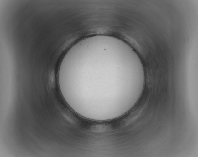 X0000110760251200906291034