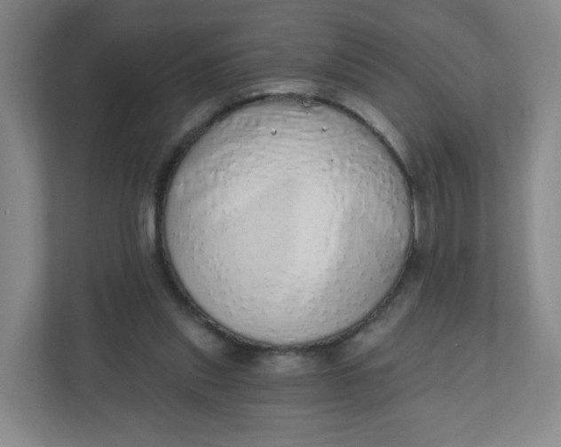 X0000110760253200906291034
