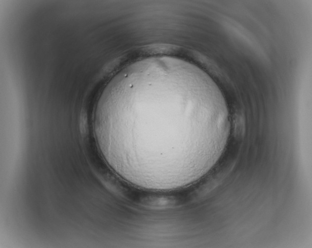 X0000110760254200906291034