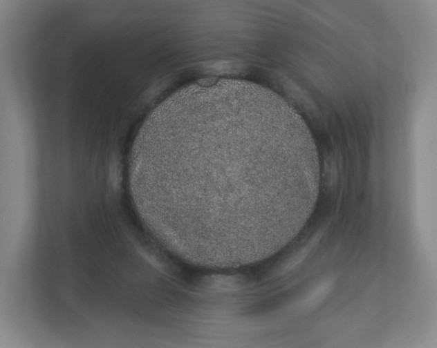X0000110760255200906291034