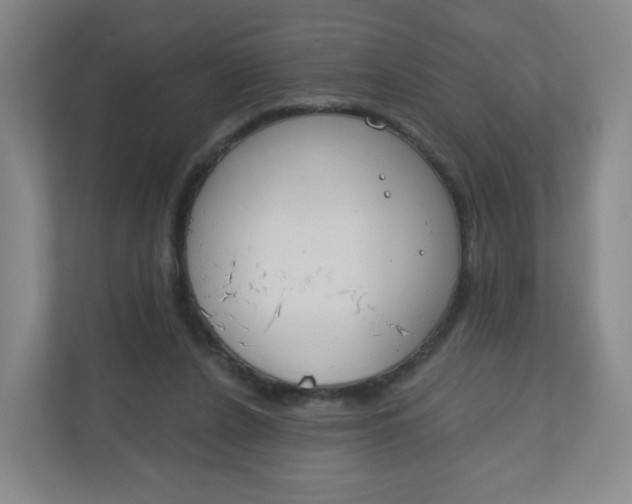 X0000110760256200906291034