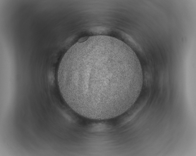 X0000110760259200906291034
