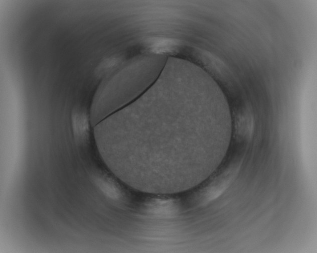 X0000110760260200906291034