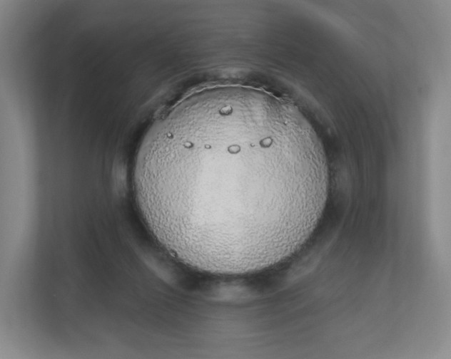 X0000110760262200906291034