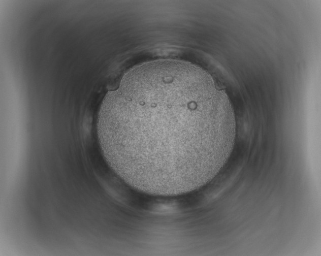 X0000110760263200906291034