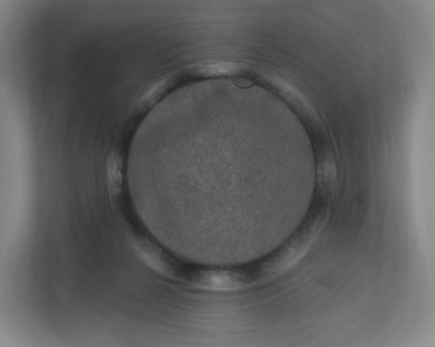 X0000110760264200906291034