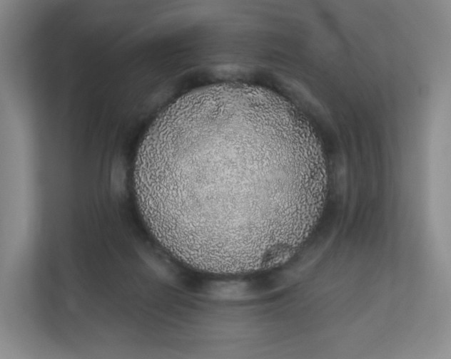X0000110760266200906291034