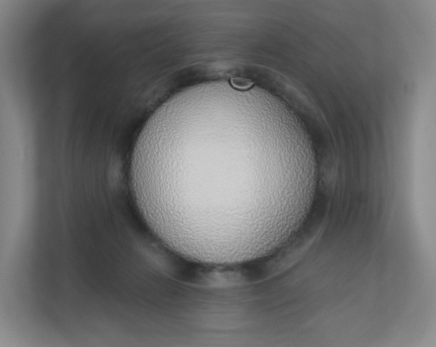 X0000110760270200906291034