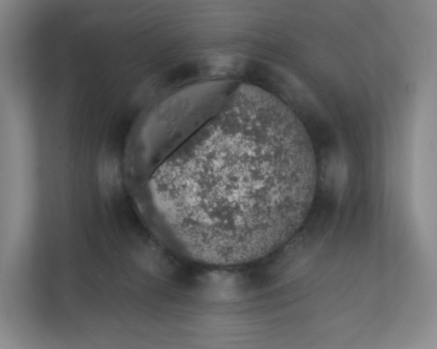 X0000110760272200906291034