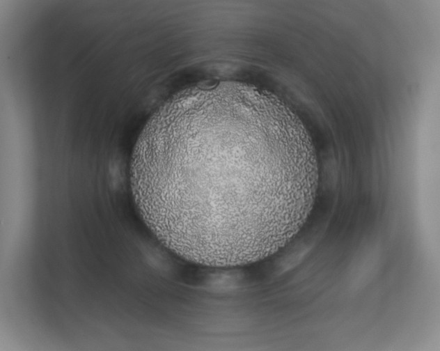 X0000110760274200906291034