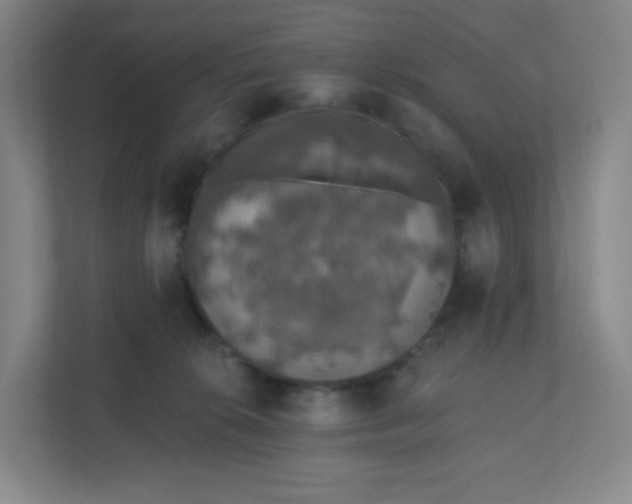 X0000110760276200906291034