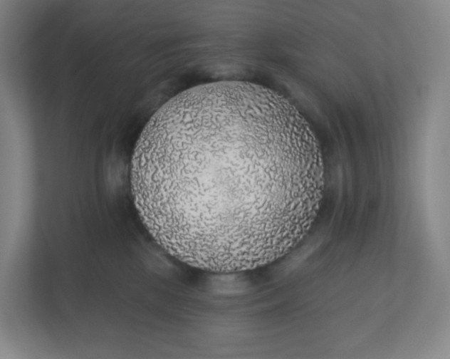 X0000110760281200906291034