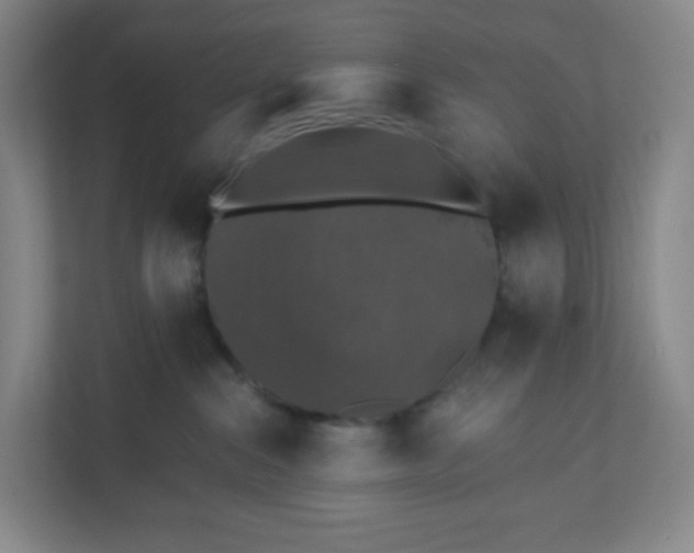 X0000110760284200906291034