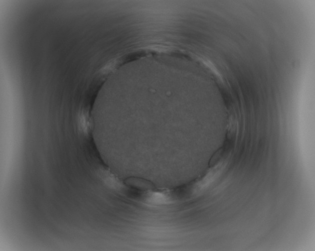X0000110760285200906291034