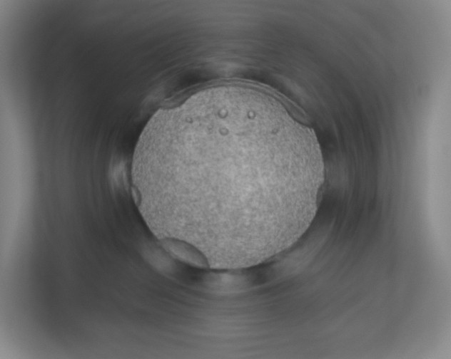 X0000110760286200906291034