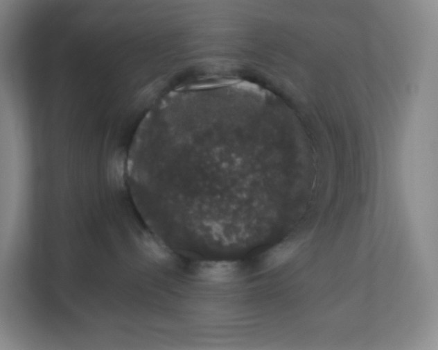 X0000110760288200906291034