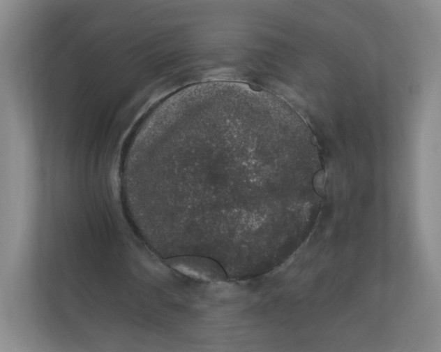 X0000110760290200906291033