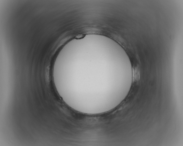 X0000110760291200906291033