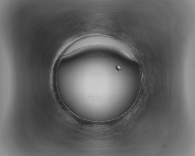 X0000110760292200906291033