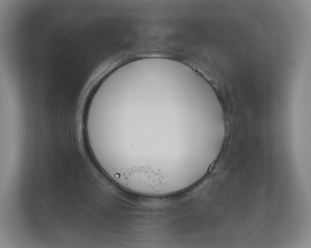 X0000110760293200906291033
