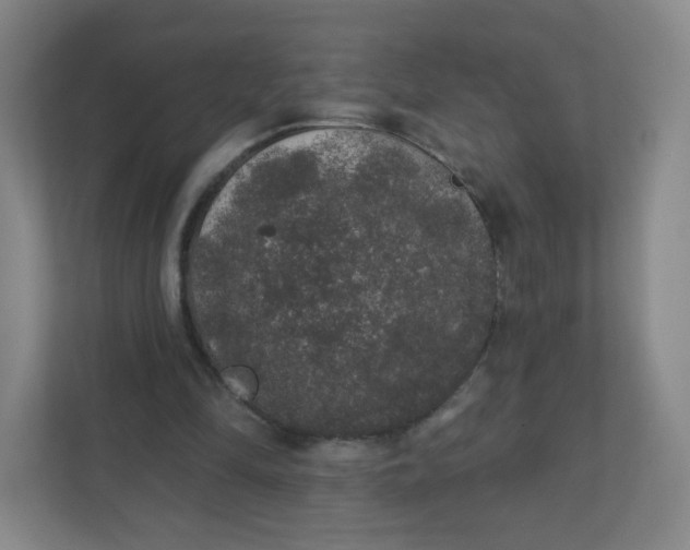 X0000110760294200906291033