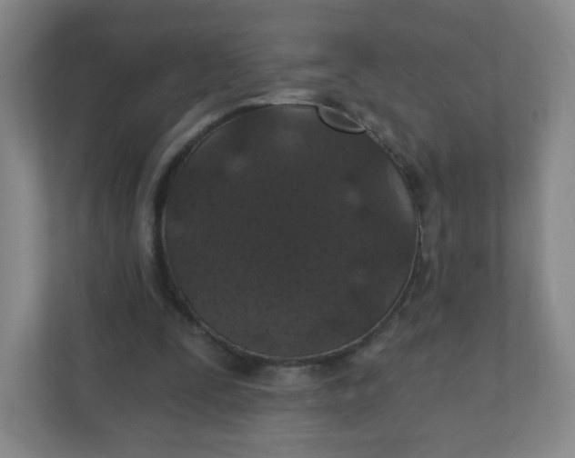 X0000110760295200906291033