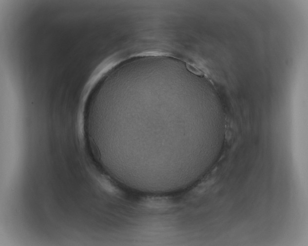 X0000110760296200906291033