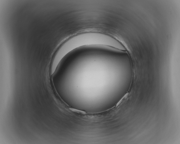 X0000110760297200906291033
