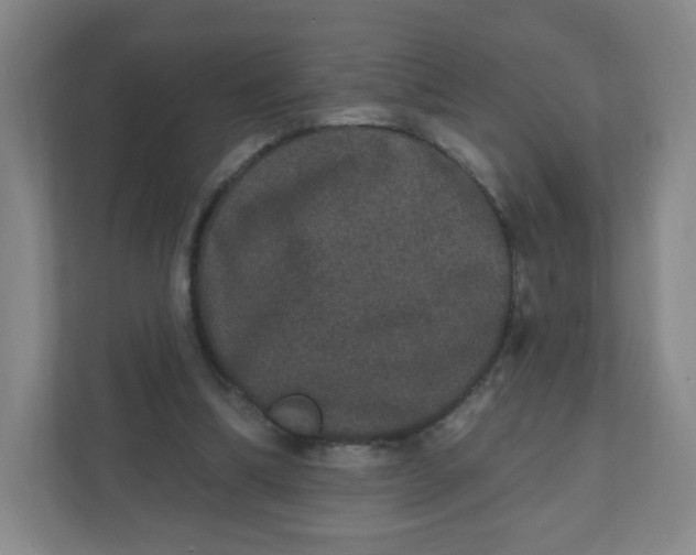 X0000110760298200906291033