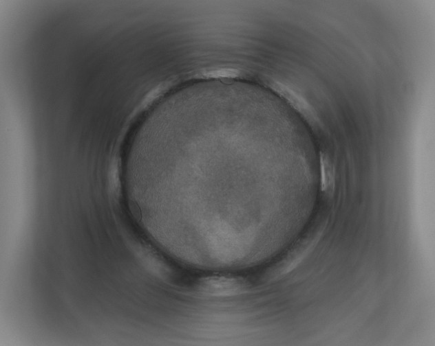 X0000110760300200906291033