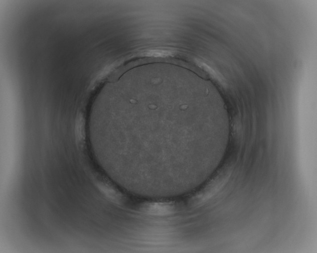X0000110760303200906291033
