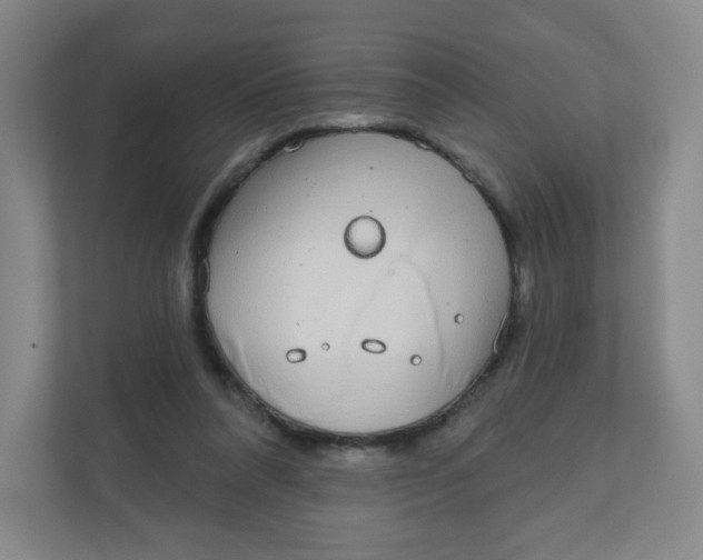 X0000110760304200906291033