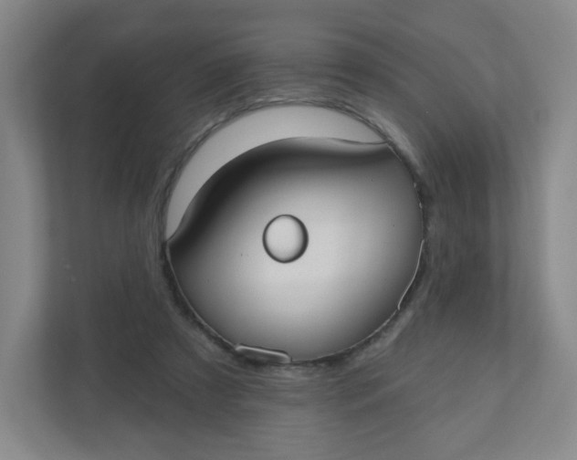 X0000110760305200906291033