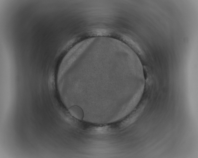 X0000110760306200906291033