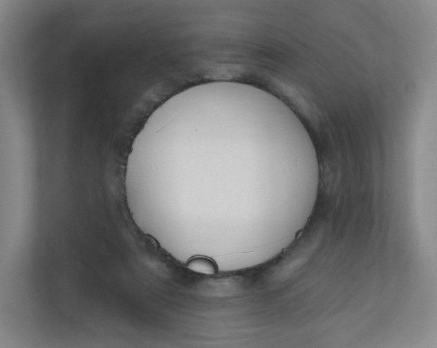 X0000110760307200906291033