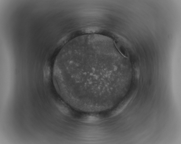 X0000110760308200906291033
