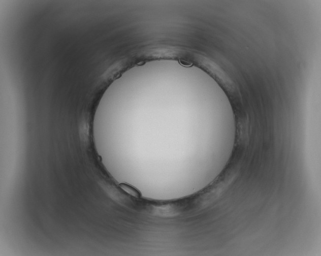 X0000110760309200906291033