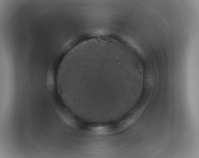 X0000110760312200906291033