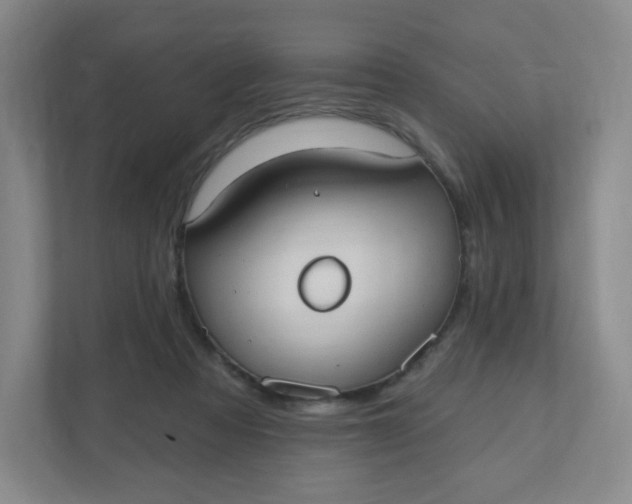 X0000110760313200906291033